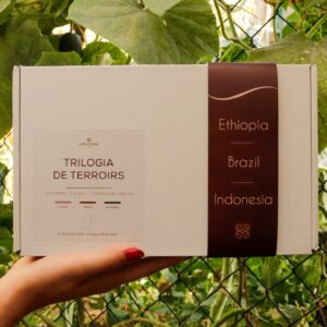 Trilogia de Terróirs | Specialty Coffee Gift Set | Coffee in Brew
